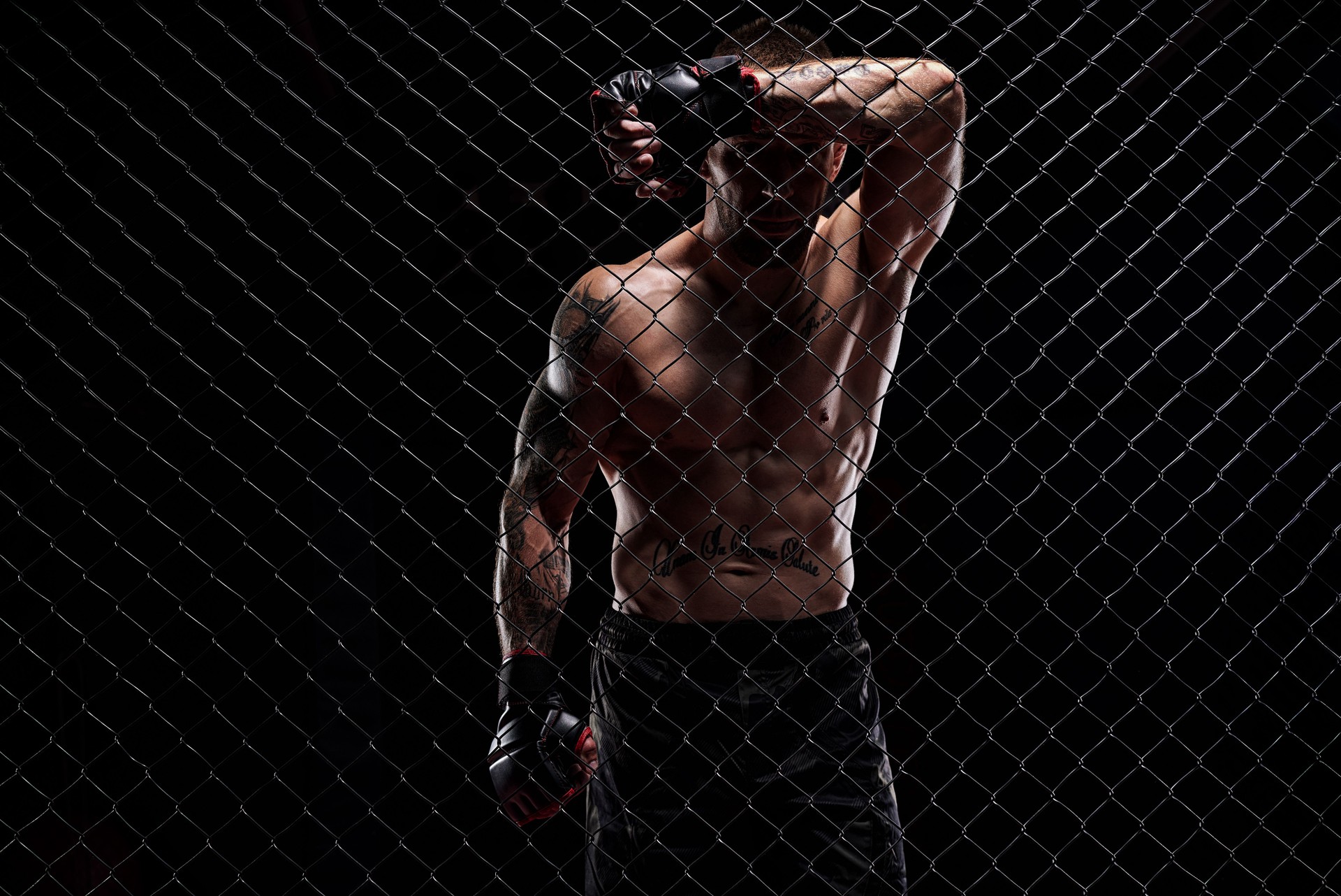Dramatic image of a mixed martial arts fighter standing in an octagon cage. The concept of sports, boxing, martial arts.